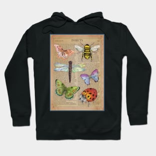 All About Insects Hoodie